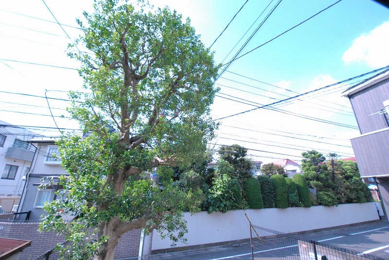 リーベンスガルテン202号室　女性限定のお部屋です